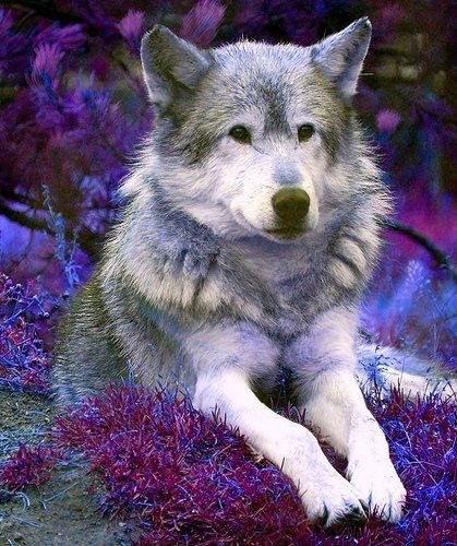 09:44:37 GMT-0600 (CST)