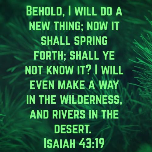 05:51:31 GMT-0600 (CST)