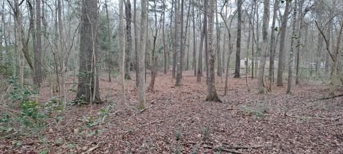 09:43:41 GMT-0500 (EST)