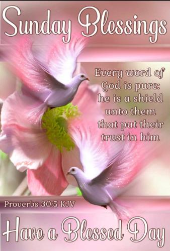 Screenshot_20210131-171651_Photos