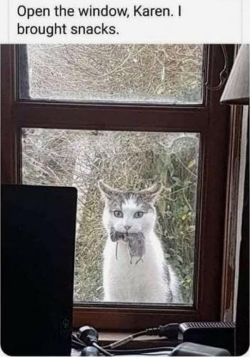 14:29:18 GMT-0600 (CST)