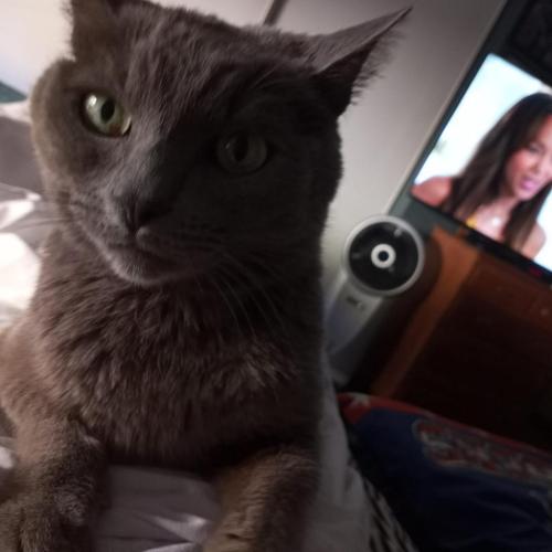 12:30:39 GMT-0800 (PST)