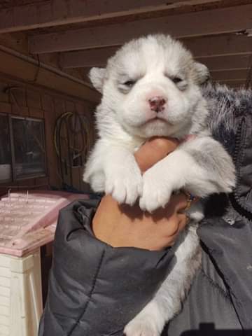 10:11:42 GMT-0500 (EST)