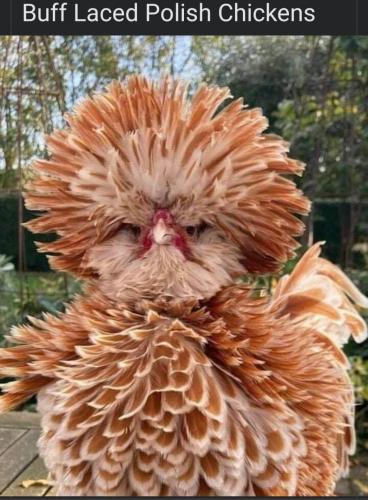 04:49:47 GMT-0800 (PST)