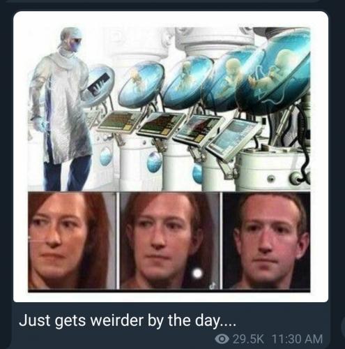 Screenshot_20210210-184241_Telegram