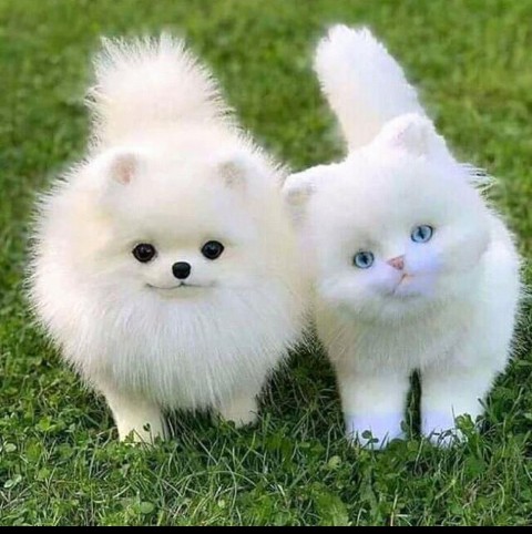 16:20:01 GMT+0100 (WAT)