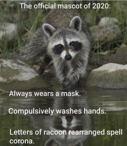 11:31:43 GMT-0600 (CST)