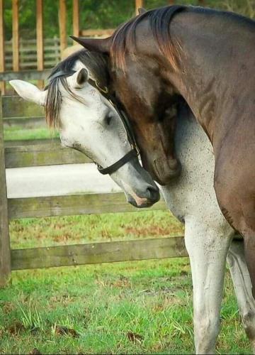 08:01:01 GMT-0600 (CST)