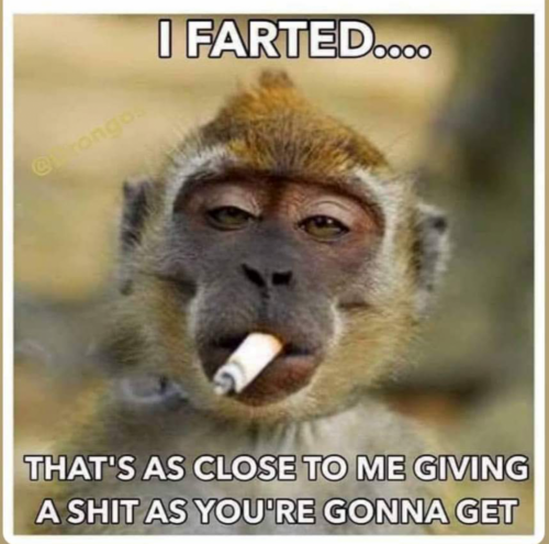 18:15:03 GMT-0500 (EST).image