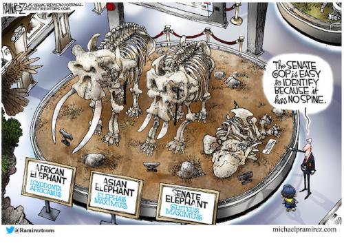 SENATE HAS NO SPINE CARTOON