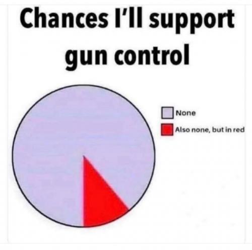 guncontrol