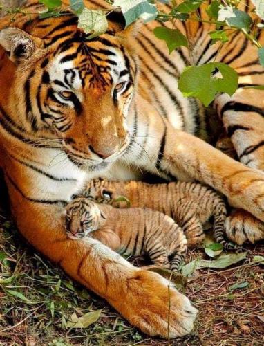 150301632_1799704030195801_5932124700168989027_n