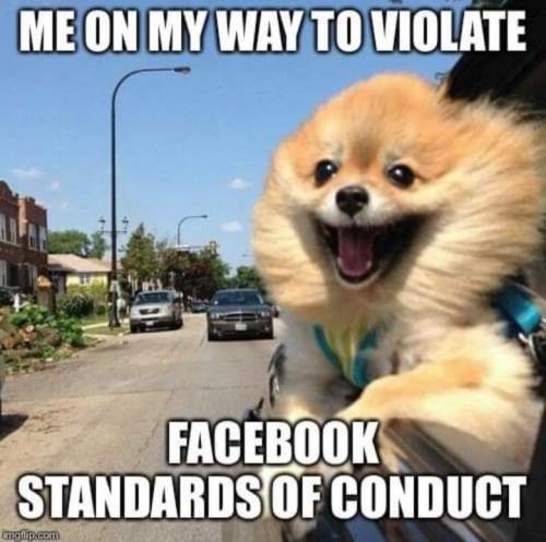 FB_IMG_1614399899601