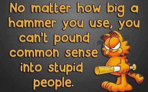 15:11:54 GMT-0700 (MST).image