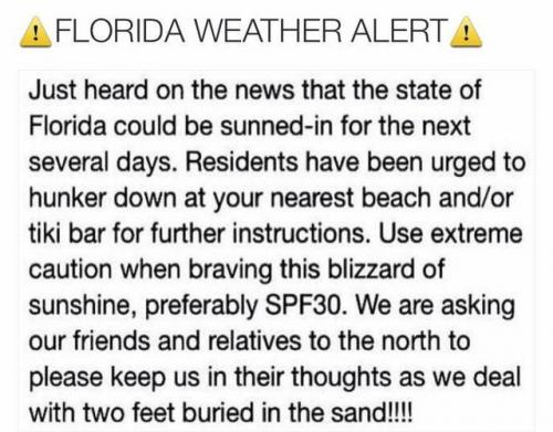 FL WEATHER