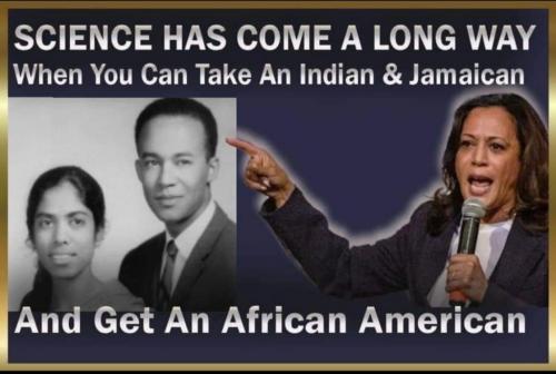 11:59:04 GMT-0500 (EST)