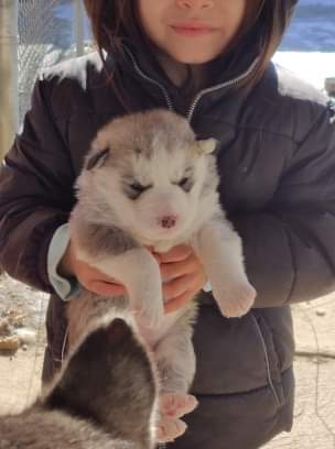 10:11:42 GMT-0500 (EST)