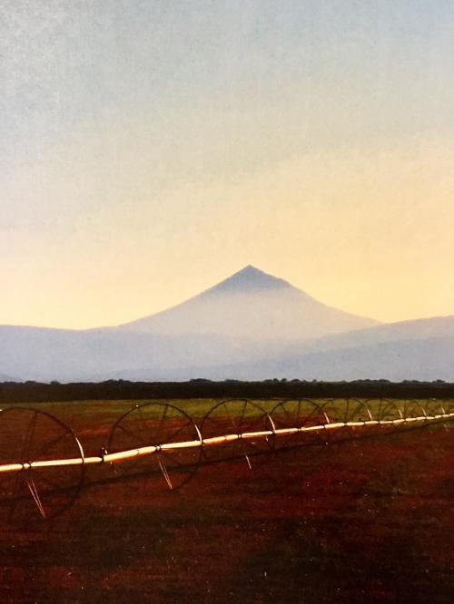 B614B26D-05DD-4F35-A2FF-8C6C5B7075D5