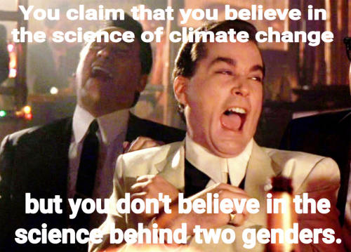 16:17:30 GMT-0600 (CST)