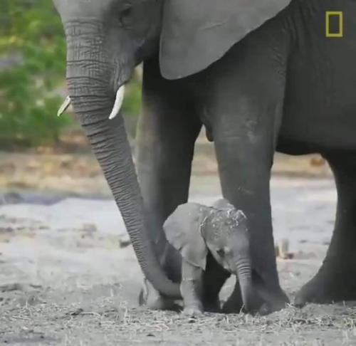 06:44:17 GMT-0600 (CST)