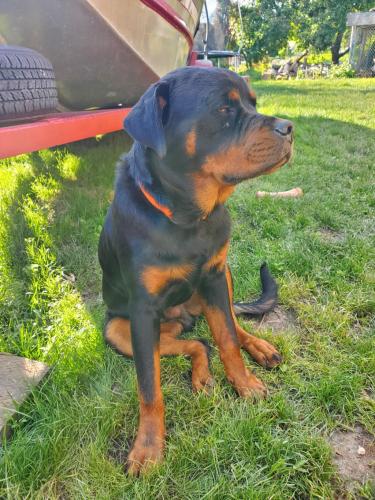 17:00:48 GMT-0800 (PST)