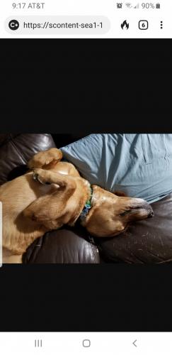 Screenshot_20210130-211711_DuckDuckGo