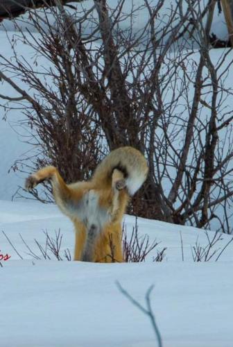 05:28:35 GMT-0600 (CST)