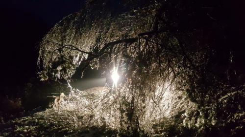 08:02:58 GMT-0500 (EST)