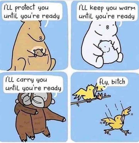 kid friendly funny bear kangaroo monkey bird fly bitch carry you till ready leaving nest