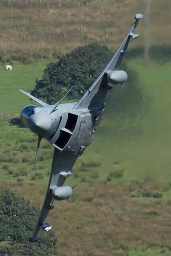 154240460_3792582597494599_6014198556448325682_n