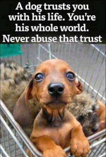 10:46:49 GMT-0500 (EST)