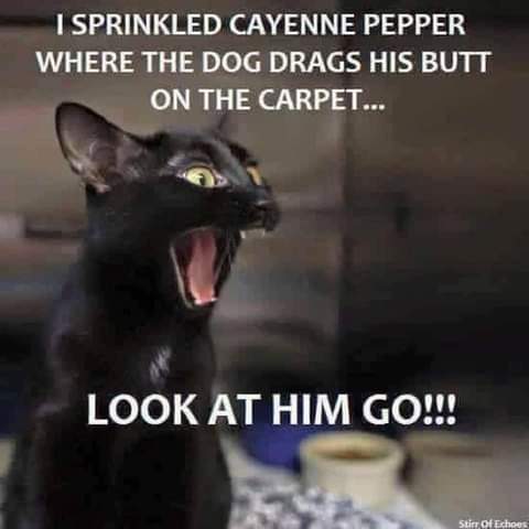 11:27:38 GMT-0800 (PST)