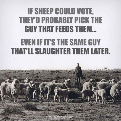 FB_IMG_1612874475193