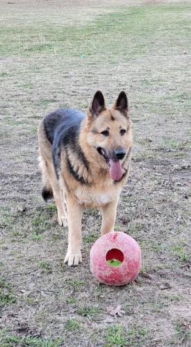 18:17:10 GMT-0600 (CST)