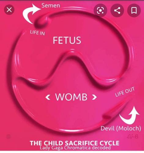 FB_IMG_1612201066327