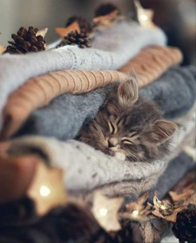 21:06:58 GMT-0600 (CST)