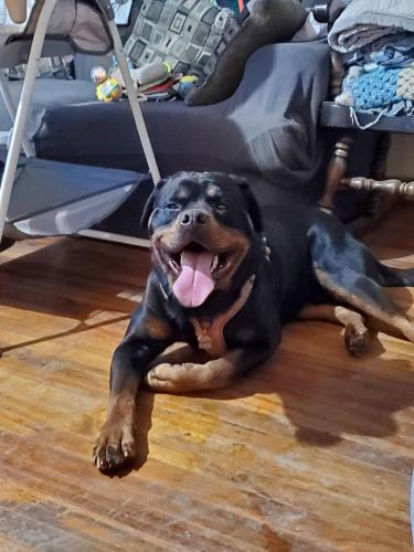 17:00:48 GMT-0800 (PST)