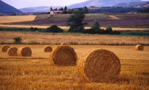 B6D70724-FB60-4CB4-BCFD-5BA3DF913AAB_4_5005_c