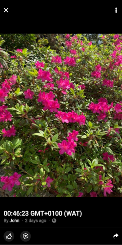 12:49:10 GMT-0600 (CST)