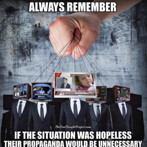 20:02:56 GMT-0500 (EST).image