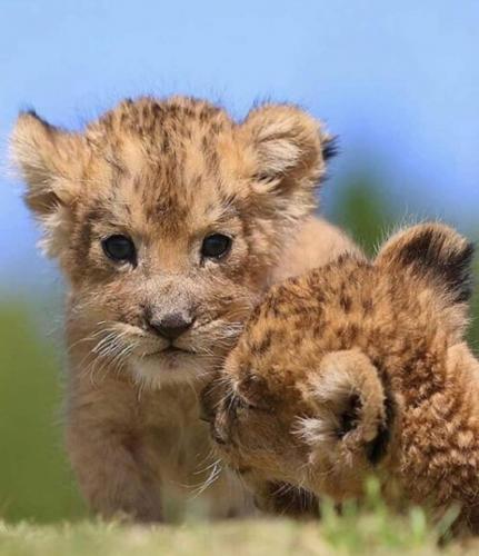 15:14:17 GMT-0600 (CST)