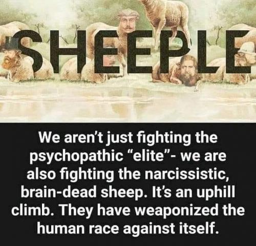 19:31:01 GMT-0800 (PST).image