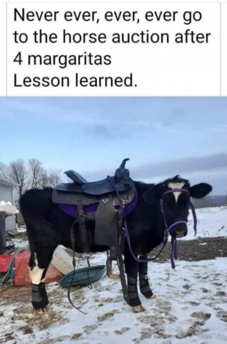 Screenshot_20210227-234831