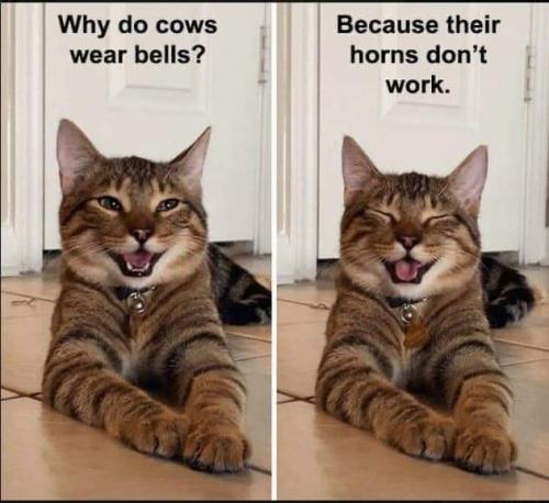 22:41:41 GMT-0500 (EST)