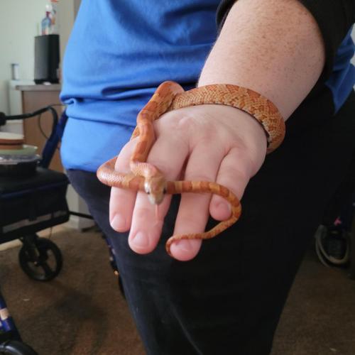 22:40:14 GMT-0500 (EST)