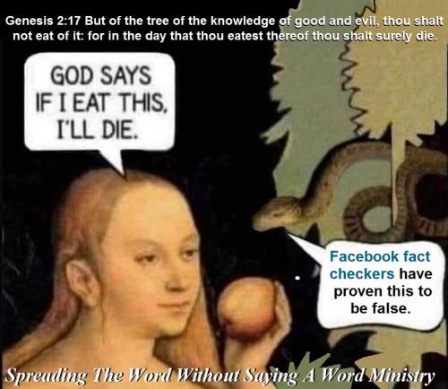 154049799_3057135251174309_1981609303943886264_n