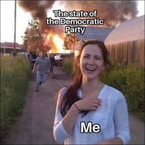 the state of the dems