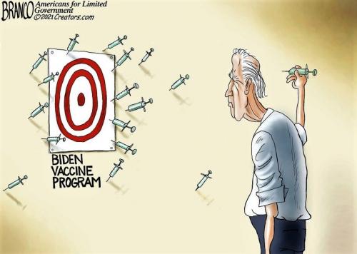 Biden's Covid Program