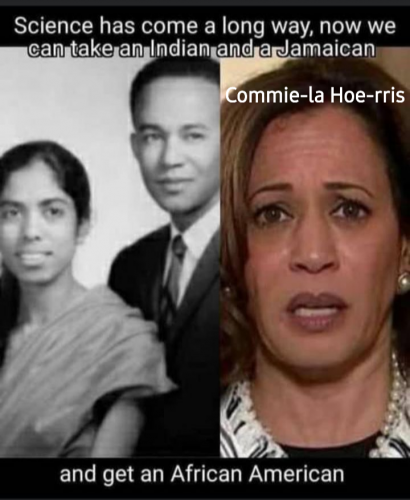 She's a sneak. She's Indian Jamaican fucking liar