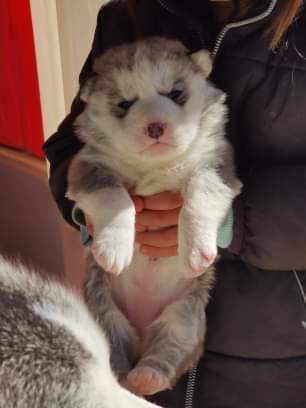 10:11:42 GMT-0500 (EST)